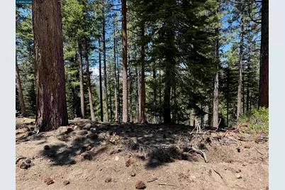 1578 Skyline Drive, South Lake Tahoe, CA 96150 - Photo 2