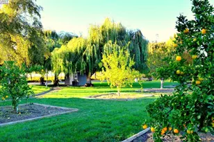 6740 Balfour Rd, Brentwood, CA 94513 - Photo 54