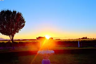 6740 Balfour Rd, Brentwood, CA 94513 - Photo 58