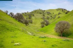 3685 Mallard Ct, Antioch, CA 94509 - Photo 40