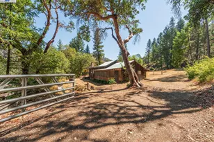 181 Price Creek Rd, Big Bar, CA 96010 - Photo 28