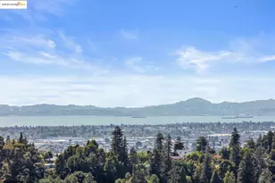 6443 Blue Rock Ct, Oakland, CA 94605 - Photo 4