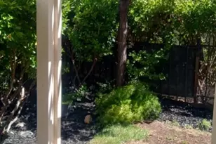 308 Willow Brook Way, Rio Vista, CA 94571 - Photo 18