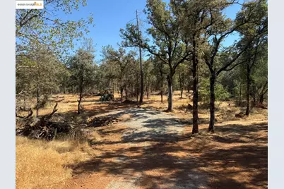 18891 Tanglewood Hollow Way, Grass Valley, CA 95949 - Photo 8