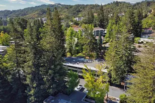 1413 Ptarmigan Dr, Walnut Creek, CA 94595 - Photo 48