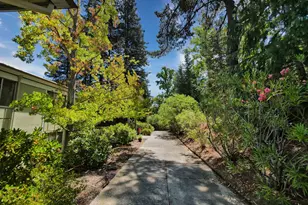 1413 Ptarmigan Dr, Walnut Creek, CA 94595 - Photo 46