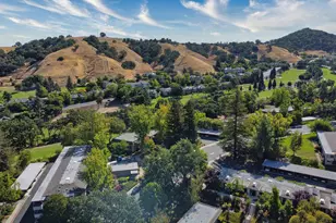 1413 Ptarmigan Dr, Walnut Creek, CA 94595 - Photo 50