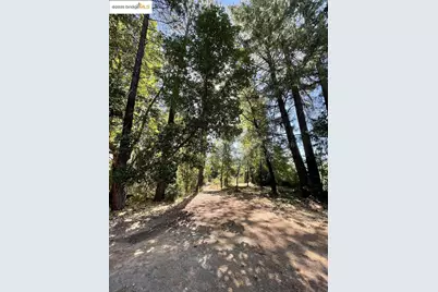 15003 Alleghany Rd, North San Juan, CA 95960 - Photo 14