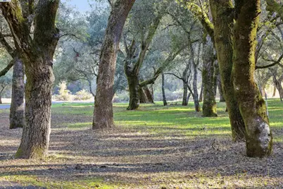 11 Arroyo Sequoia, Carmel, CA 93923 - Photo 8