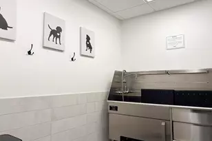 280 Spear St, San Francisco, CA 94105 - Photo 32