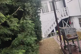 1161 64th St, Oakland, CA 94608 - Photo 10