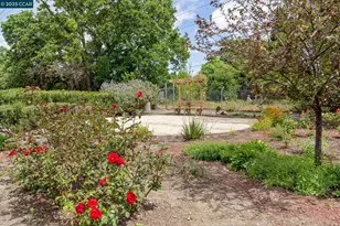 300 Civic Dr, Walnut Creek, CA 94596 - Photo 50