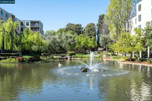 300 Civic Dr, Walnut Creek, CA 94596 - Photo 46