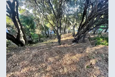 25265 Morse Ct, Hayward, CA 94542 - Photo 4