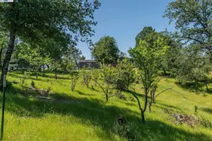 21679 Squaw Grass Trail, Redding, CA 96003 - Photo 44