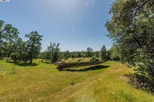 21679 Squaw Grass Trail, Redding, CA 96003 - Photo 58