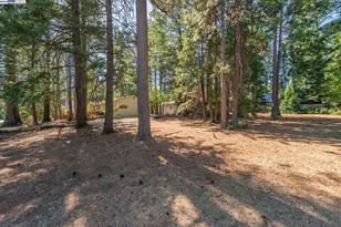 230 Lakeview Dr, Trinity Center, CA 96091 - Photo 46