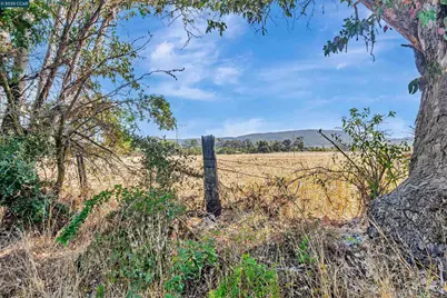 21200 Silva Road, Sonoma, CA 95476 - Photo 18