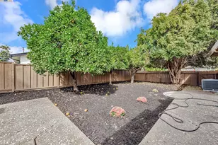 38131 Acacia St, Fremont, CA 94536 - Photo 36