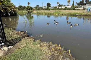 257 Manitoba Green, Fremont, CA 94538 - Photo 14