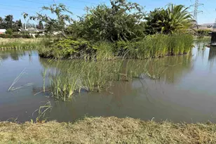 257 Manitoba Green, Fremont, CA 94538 - Photo 16