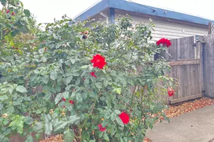 1665 Center Rd, Novato, CA 94947 - Photo 36