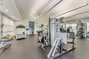 535 Pierce St, Albany, CA 94706 - Photo 50