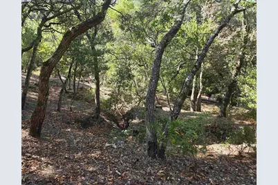 12 Vista Del Orinda, Orinda, CA 94563 - Photo 18