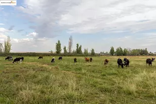 3942 Bentley Rd, Oakdale, CA 95361 - Photo 50