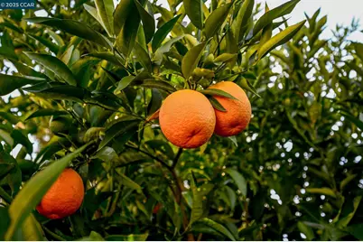 1075 Irwin Court, Concord, CA 94518 - Photo 46