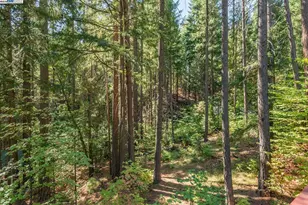 761 Lake Forest Dr, Trinity Center, CA 96091 - Photo 32