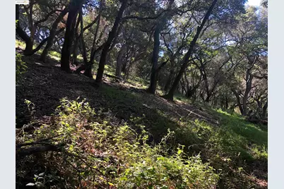 4145 Oak Hill Rd, Oakland, CA 94605 - Photo 4