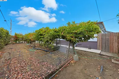 36701 Olive Street, Newark, CA 94560 - Photo 24