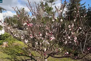 92 Gaywood Pl, Moraga, CA 94556 - Photo 54