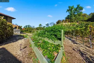 8 Quiet Country Ln, Danville, CA 94526 - Photo 58