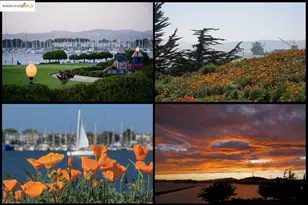 104 Marina Lakes Dr, Richmond, CA 94804 - Photo 52