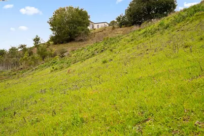 20 Oak Ct, Orinda, CA 94563 - Photo 22