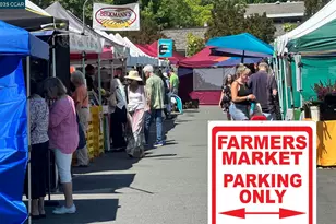 2000 Golden Rain Rd, Walnut Creek, CA 94595 - Photo 26