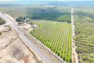 8190 French Camp Dr, Manteca, CA 95336 - Photo 4