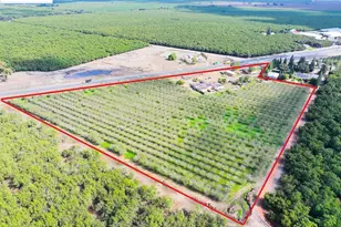 8190 French Camp Dr, Manteca, CA 95336 - Photo 6