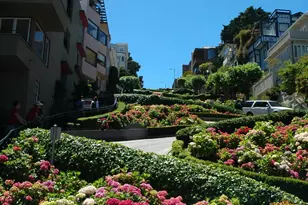 45 Auburn St, San Francisco, CA 94133 - Photo 24