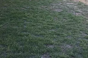 3338 Zamora Way, Stockton, CA 95206 - Photo 40