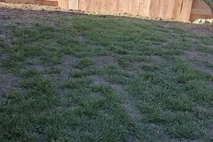 3338 Zamora Way, Stockton, CA 95206 - Photo 38