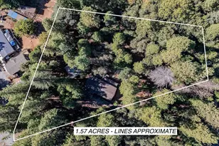 23656 Lightning Ln, Pioneer, CA 95666 - Photo 32