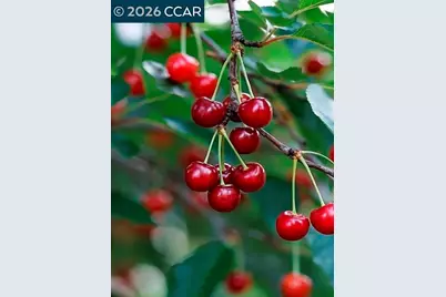 362 Summit Ct, Pinole, CA 94564 - Photo 48