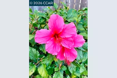 362 Summit Ct, Pinole, CA 94564 - Photo 46