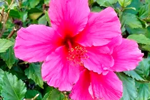 362 Summit Ct, Pinole, CA 94564 - Photo 46