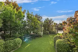 1515 Derby St, Berkeley, CA 94703 - Photo 4