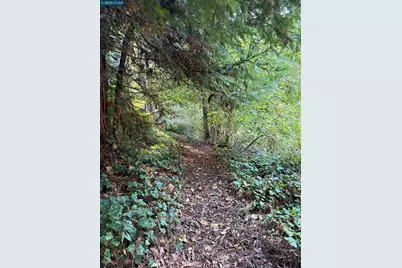 1445 Austin Creek Rd, Cazadero, CA 95421 - Photo 32