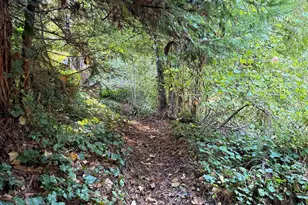 1445 Austin Creek Rd, Cazadero, CA 95421 - Photo 32